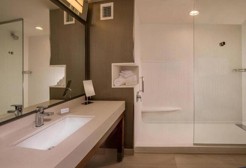 اتاق استاندارد برای معلولان, Courtyard By Marriott Hershey Chocolate Avenue