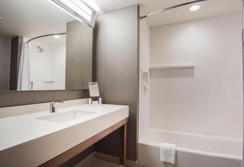 带大床的豪华间, Courtyard By Marriott Lenox Berkshires