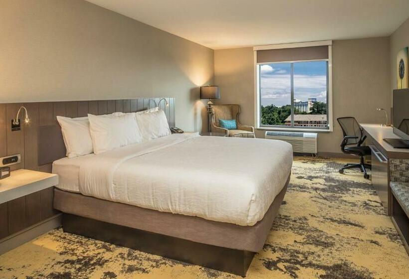 اتاق استاندارد با تخت بزرگ, Hilton Garden Inn Pittsburgh Airport