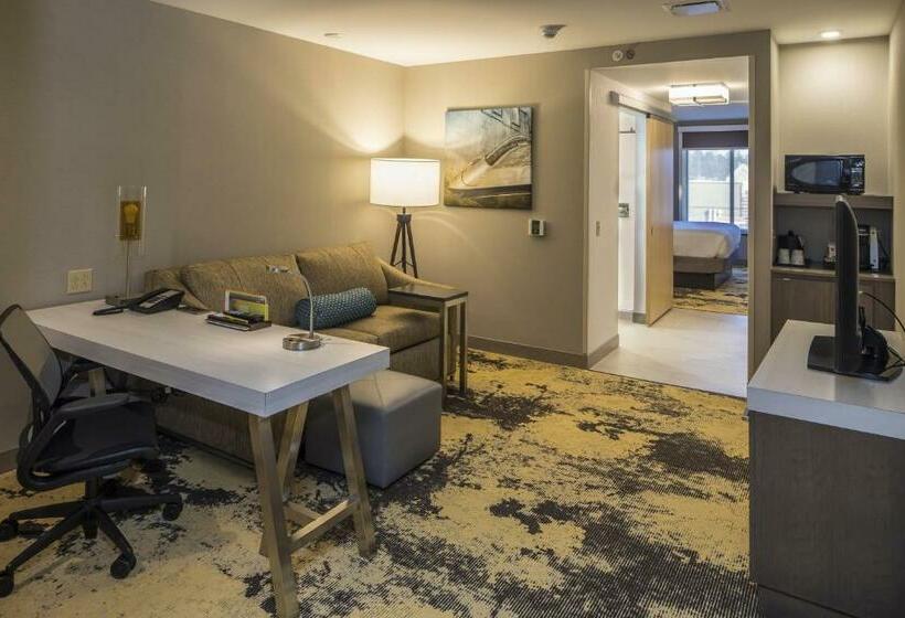 سوییت جونیور, Hilton Garden Inn Pittsburgh Airport