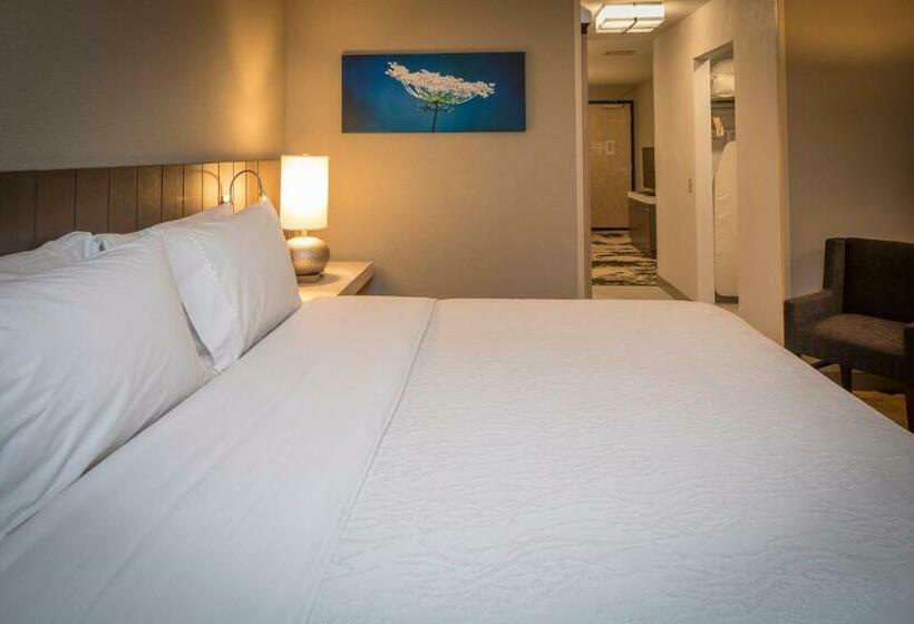 سوییت جونیور, Hilton Garden Inn Pittsburgh Airport