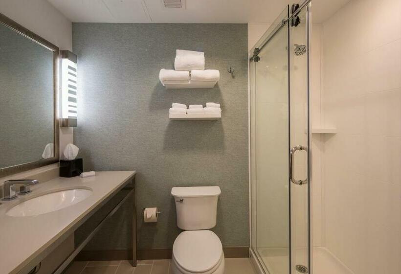 اتاق استاندارد با تخت بزرگ, Hilton Garden Inn Pittsburgh Airport
