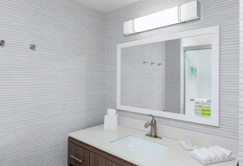استودیوی استاندارد, Home2 Suites By Hilton Rapid City
