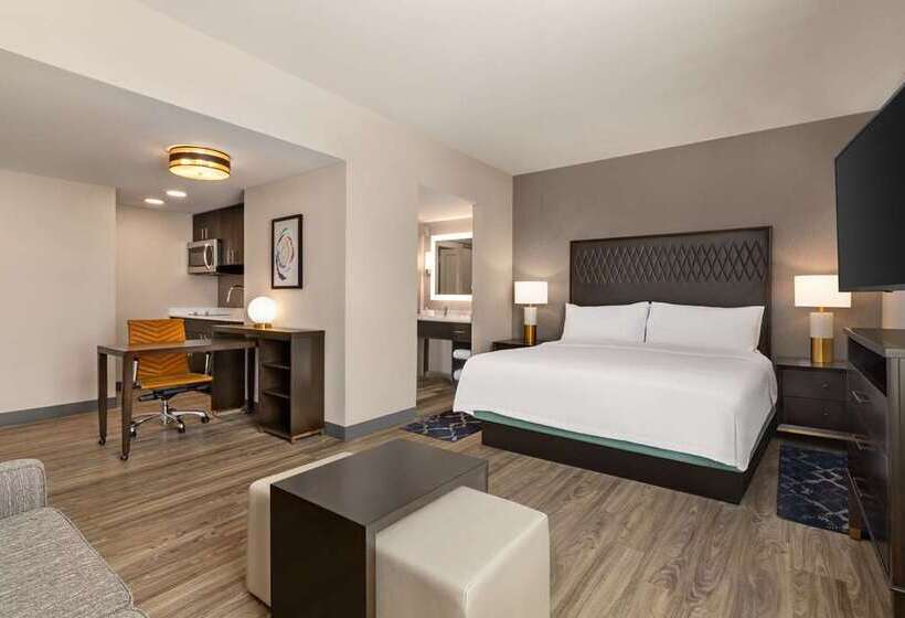 استودیو استاندارد با تخت کینگ, Home2 Suites By Hilton Rapid City