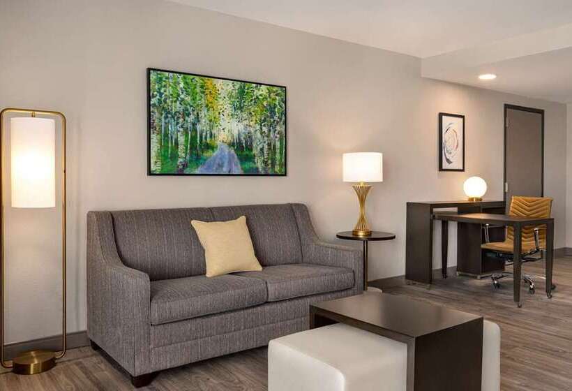 استودیو استاندارد با تخت کینگ, Home2 Suites By Hilton Rapid City