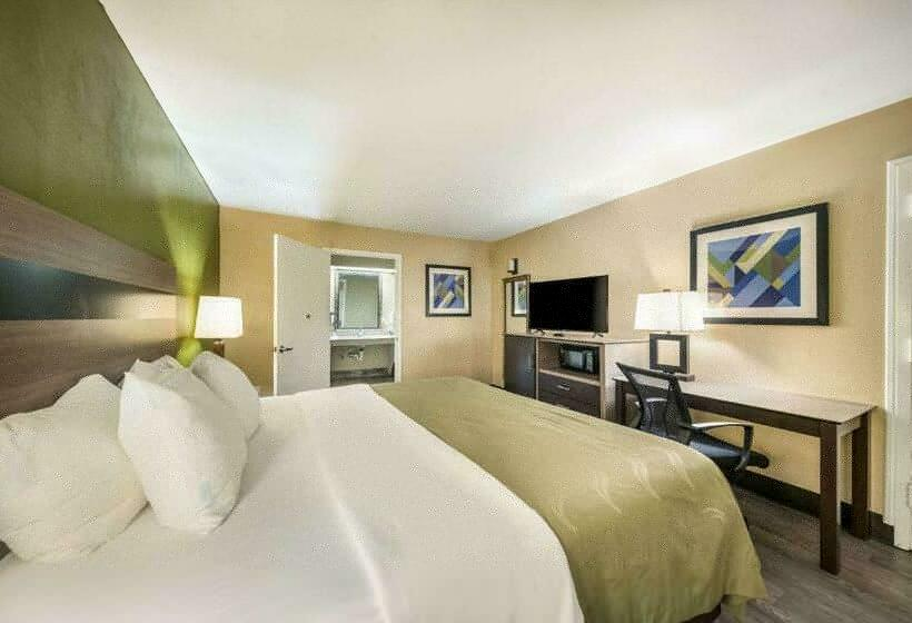 اتاق استاندارد با تخت بزرگ, Quality Inn & Suites   Garland
