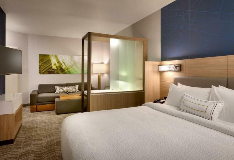 سوئیت با تخت بزرگ, Springhill Suites By Marriott Idaho Falls