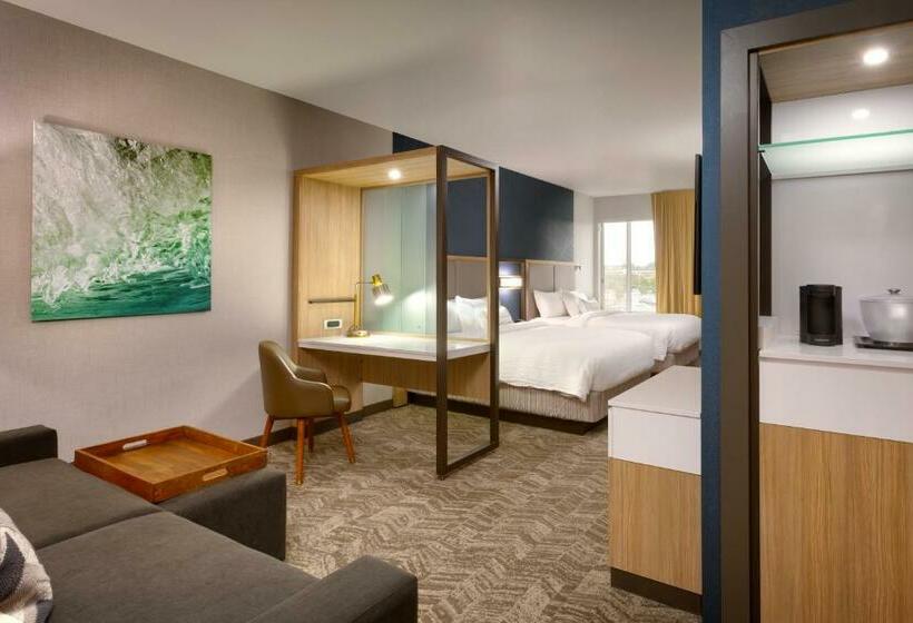 سوییت, Springhill Suites By Marriott Idaho Falls