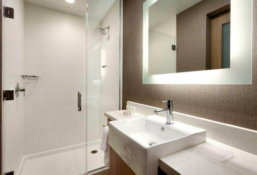 سوییت, Springhill Suites By Marriott Idaho Falls
