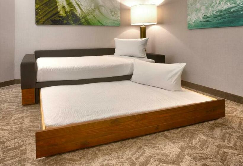 سوئیت با تخت بزرگ, Springhill Suites By Marriott Idaho Falls