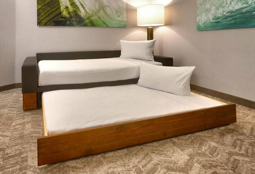 سوییت, Springhill Suites By Marriott Idaho Falls