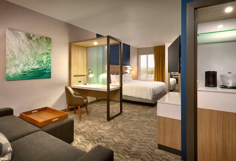 سوییت, Springhill Suites By Marriott Idaho Falls