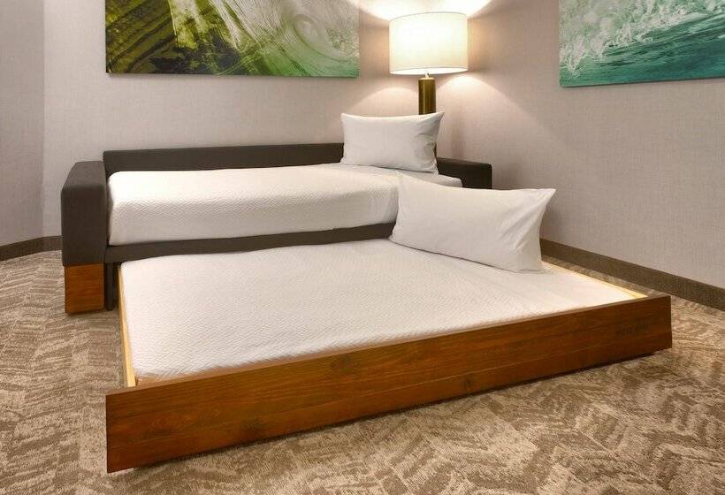 سوییت, Springhill Suites By Marriott Idaho Falls