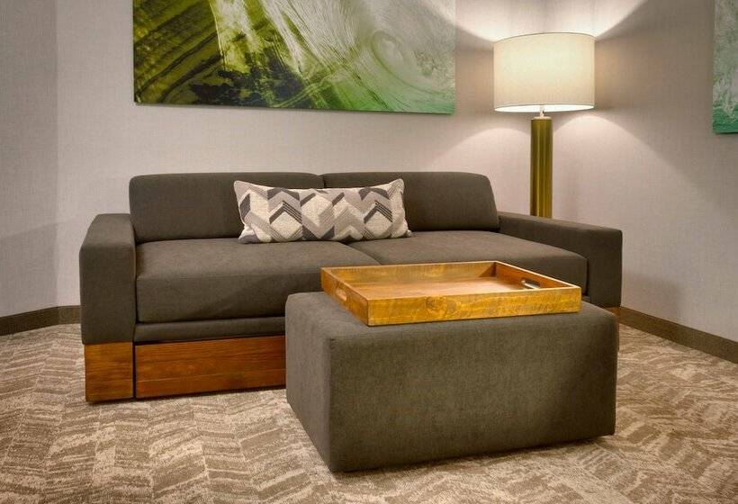سوییت, Springhill Suites By Marriott Idaho Falls