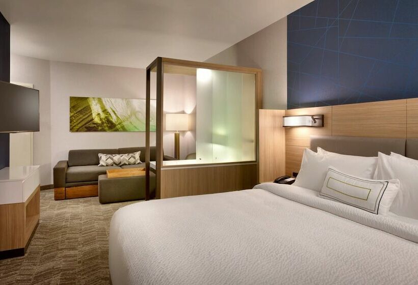 سوییت, Springhill Suites By Marriott Idaho Falls