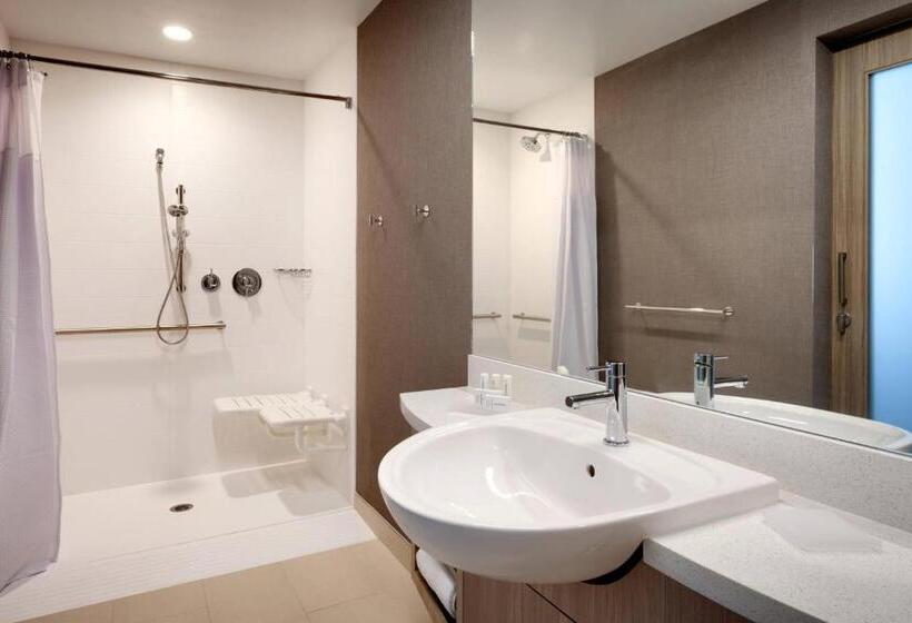 سوئیت با تخت بزرگ, Springhill Suites By Marriott Idaho Falls
