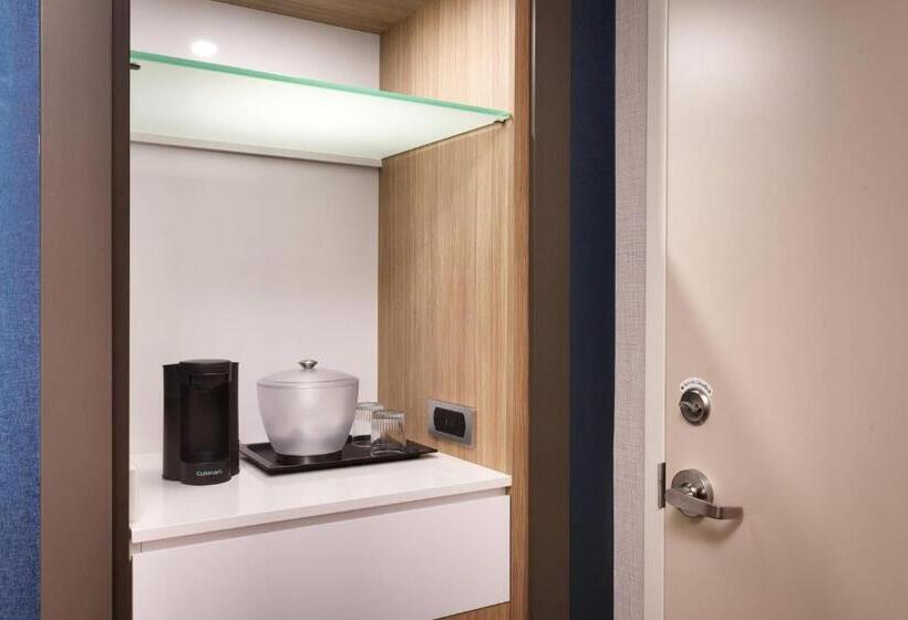 سوئیت با تخت بزرگ, Springhill Suites By Marriott Idaho Falls