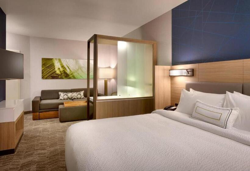 سوئیت با تخت بزرگ, Springhill Suites By Marriott Idaho Falls