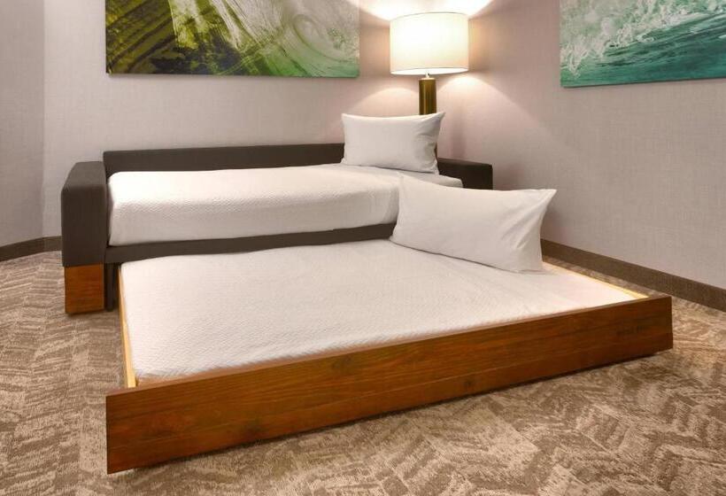 سوییت, Springhill Suites By Marriott Idaho Falls