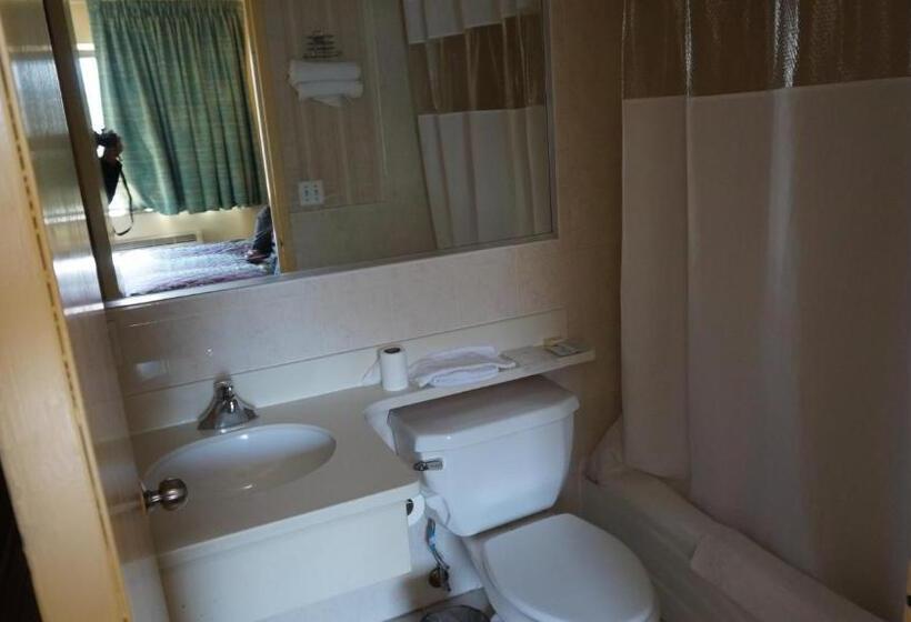 带大床的标准间, Flushing Motel