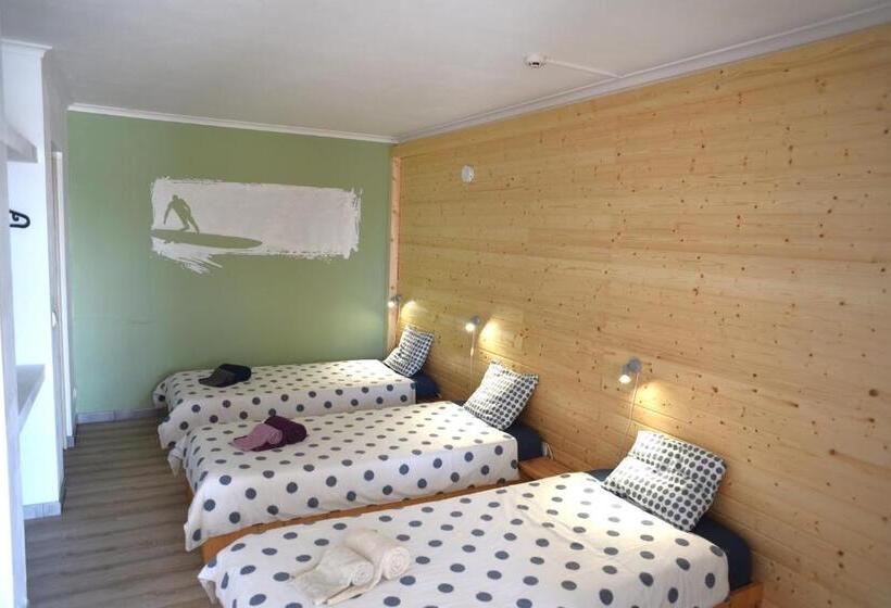 اتاق استاندارد سه نفره, Shark S Lodge