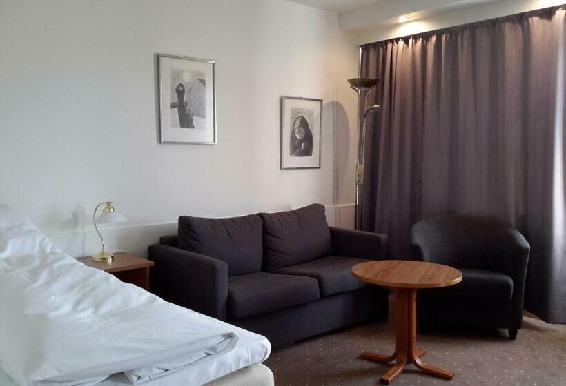 اتاق استاندارد یک نفره, Volda Turisthotell