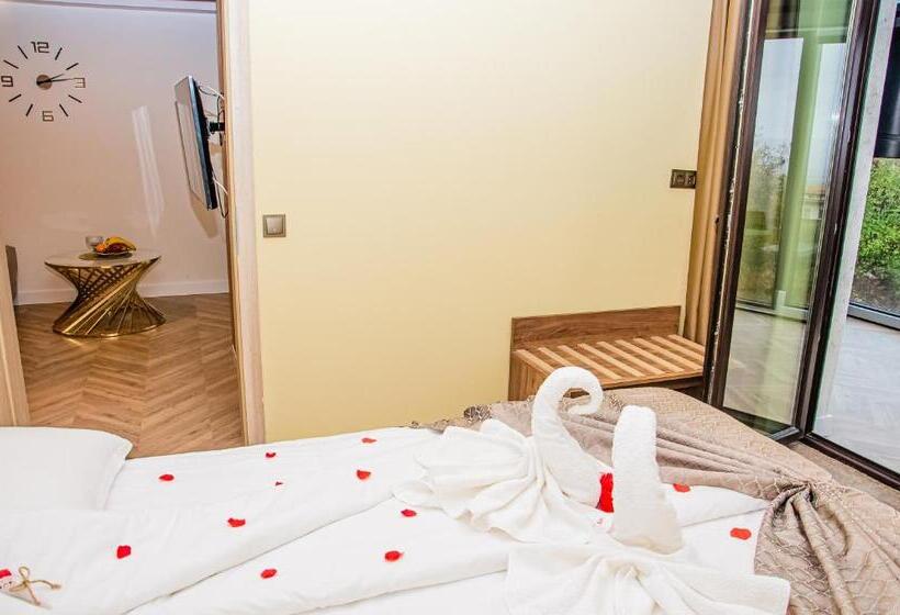 آپارتمان 1 خوابه با چشم‌انداز, Sveti Nikola Family Hotel Sapareva Banya