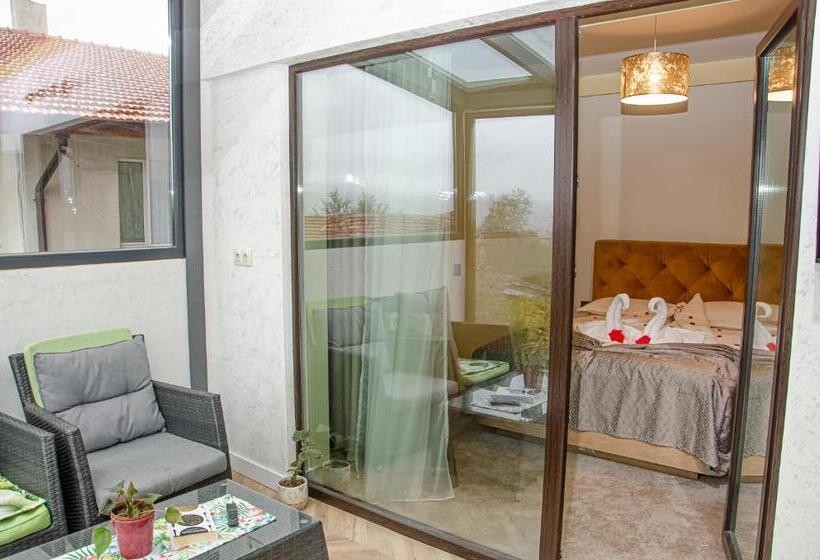 آپارتمان 1 خوابه با چشم‌انداز, Sveti Nikola Family Hotel Sapareva Banya
