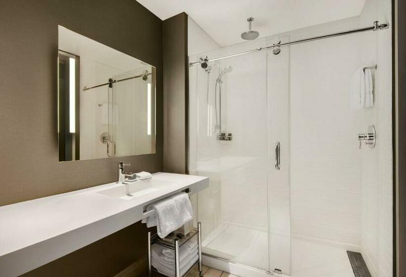اتاق استاندارد با تخت بزرگ, Ac Hotel Asheville Downtown