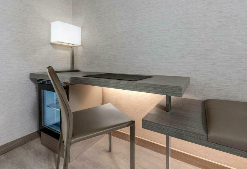اتاق استاندارد با تخت بزرگ, Ac Hotel Asheville Downtown