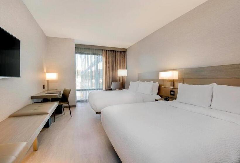 اتاق استاندارد, Ac Hotel Asheville Downtown