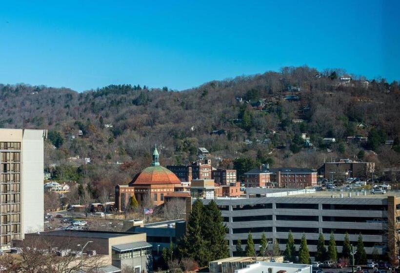 اتاق استاندارد با چشم‌انداز کوهستان, Ac Hotel Asheville Downtown
