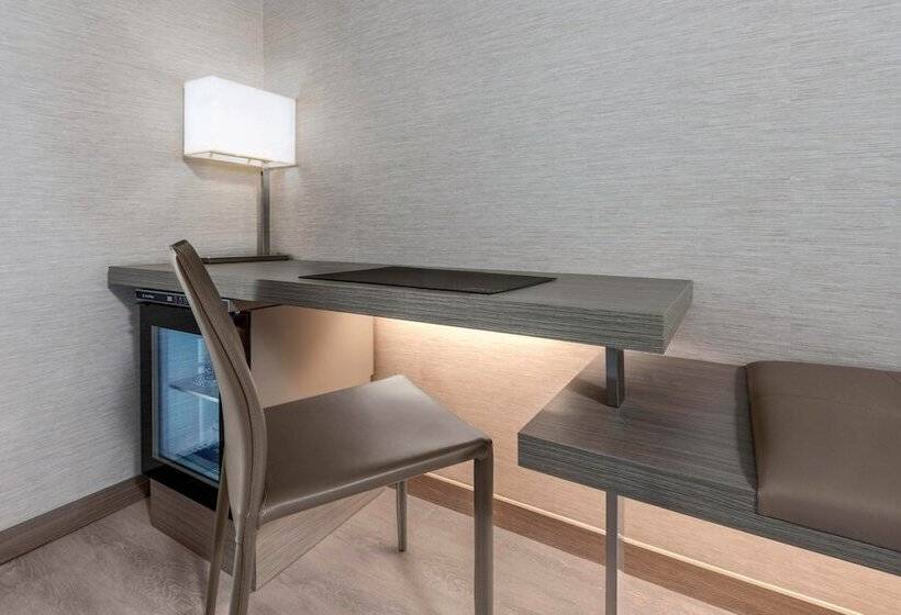 اتاق استاندارد با 2 تخت دوبل, Ac Hotel Asheville Downtown