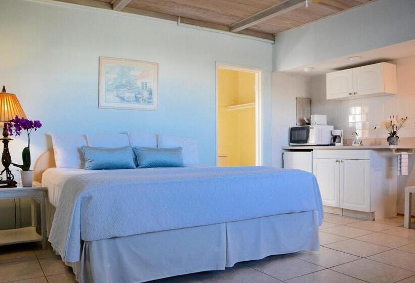 استودیو استاندارد با تخت کینگ, Sea Turtle Inn