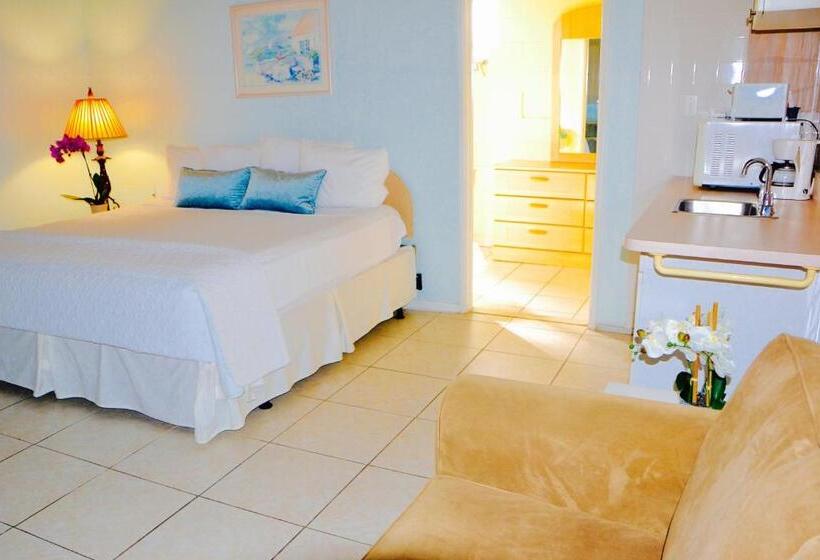 استودیو استاندارد با تخت کینگ, Sea Turtle Inn