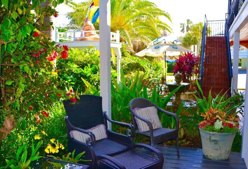 استودیو استاندارد با تخت کینگ, Sea Turtle Inn