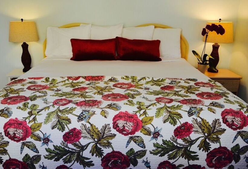 آپارتمان 1 خوابه با چشم‌انداز استخر, Sea Turtle Inn
