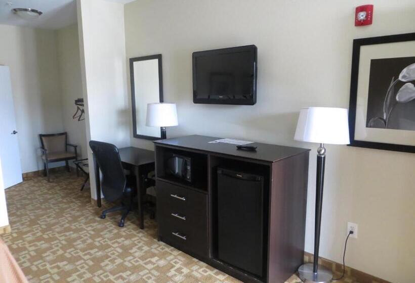 اتاق استاندارد با تخت بزرگ, Airway Inn   Iah Airport