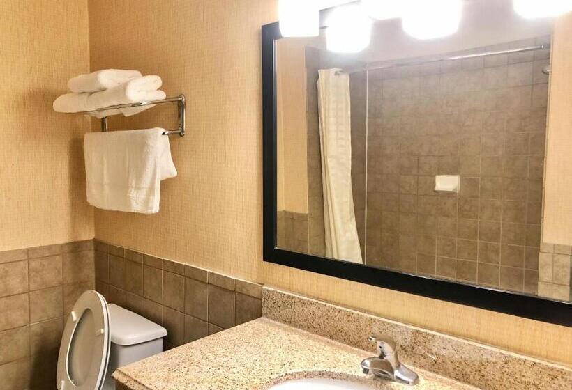 اتاق استاندارد با 2 تخت دوبل, Airway Inn   Iah Airport