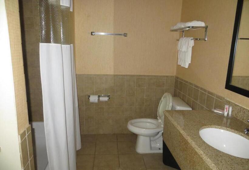اتاق استاندارد, Airway Inn   Iah Airport