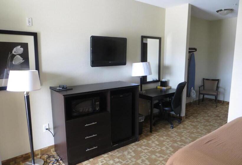 اتاق استاندارد, Airway Inn   Iah Airport