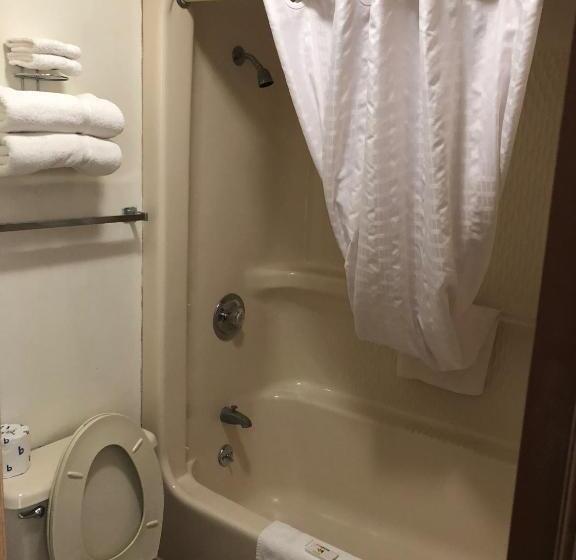 اتاق استاندارد با تخت بزرگ, Kewanee Motor Lodge