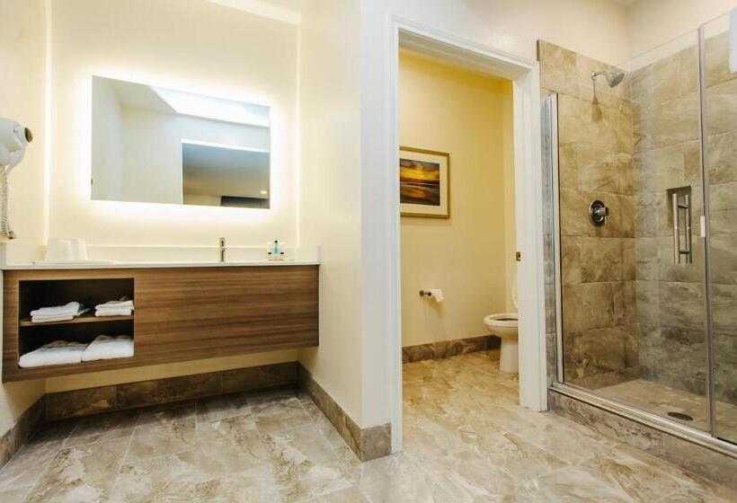 اتاق سوپریور با تخت بزرگ, Palace Inn Blue Citycentre