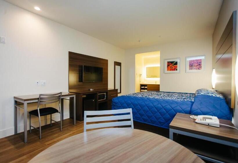 اتاق استاندارد با تخت بزرگ, Palace Inn Blue Citycentre