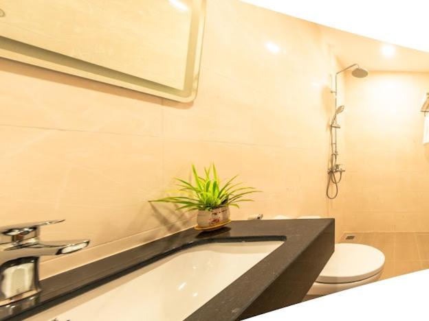 استودیوی استاندارد, Sunset Homestay