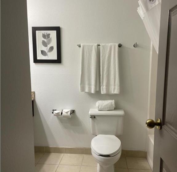 اتاق استاندارد با تخت بزرگ, Harmony Inn & Suites