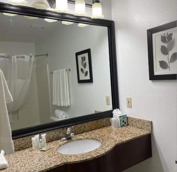 اتاق استاندارد با تخت بزرگ, Harmony Inn & Suites