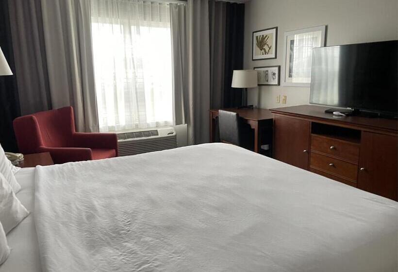 اتاق استاندارد با تخت بزرگ, Harmony Inn & Suites