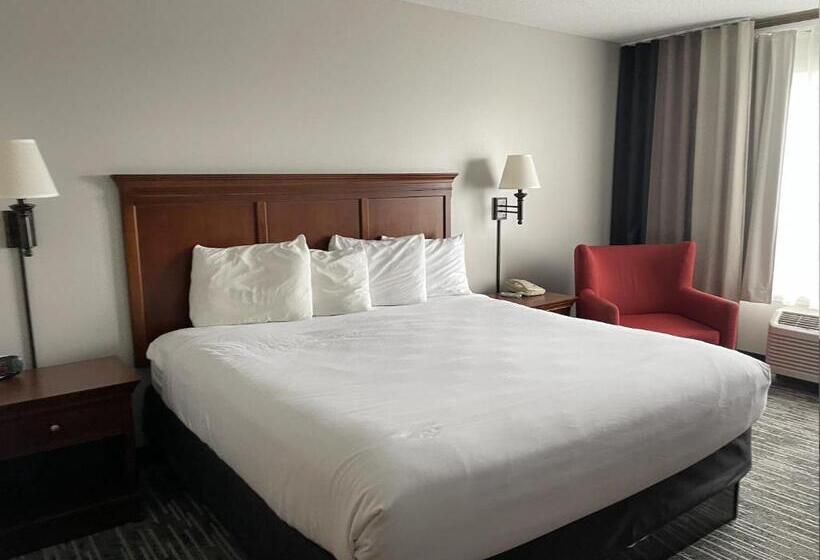 اتاق استاندارد با تخت بزرگ, Harmony Inn & Suites
