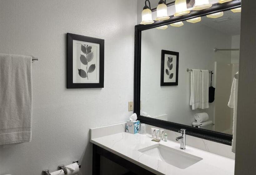 اتاق لوکس با تخت بزرگ, Harmony Inn & Suites